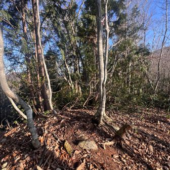 簡単な道歩いて山頂。
なにもないやんけーでした🤣