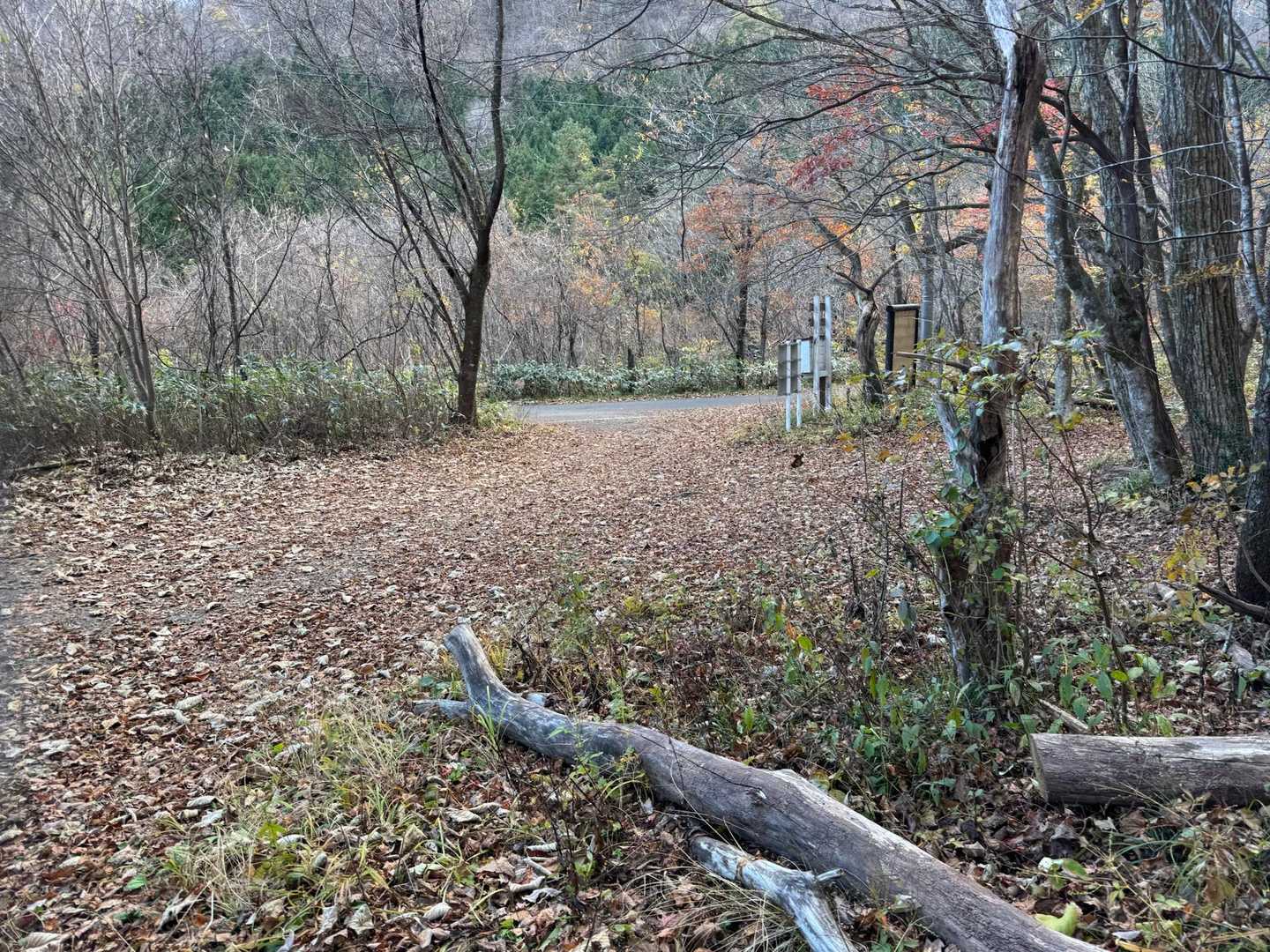 あっという間に下山、無事に帰れました。
ありがとございました😊