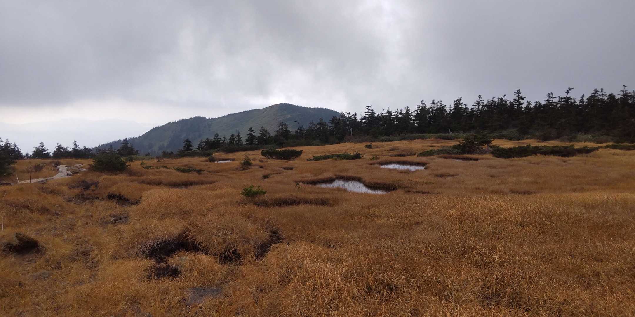 白布峠-矢筈山-西大巓-西吾妻山 往復コースの写真