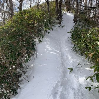 尾根手前の斜面です。あと少し。頑張れ。
