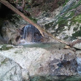 さっきの真逆の鎌ヶ岳に掛かる水量谷へ