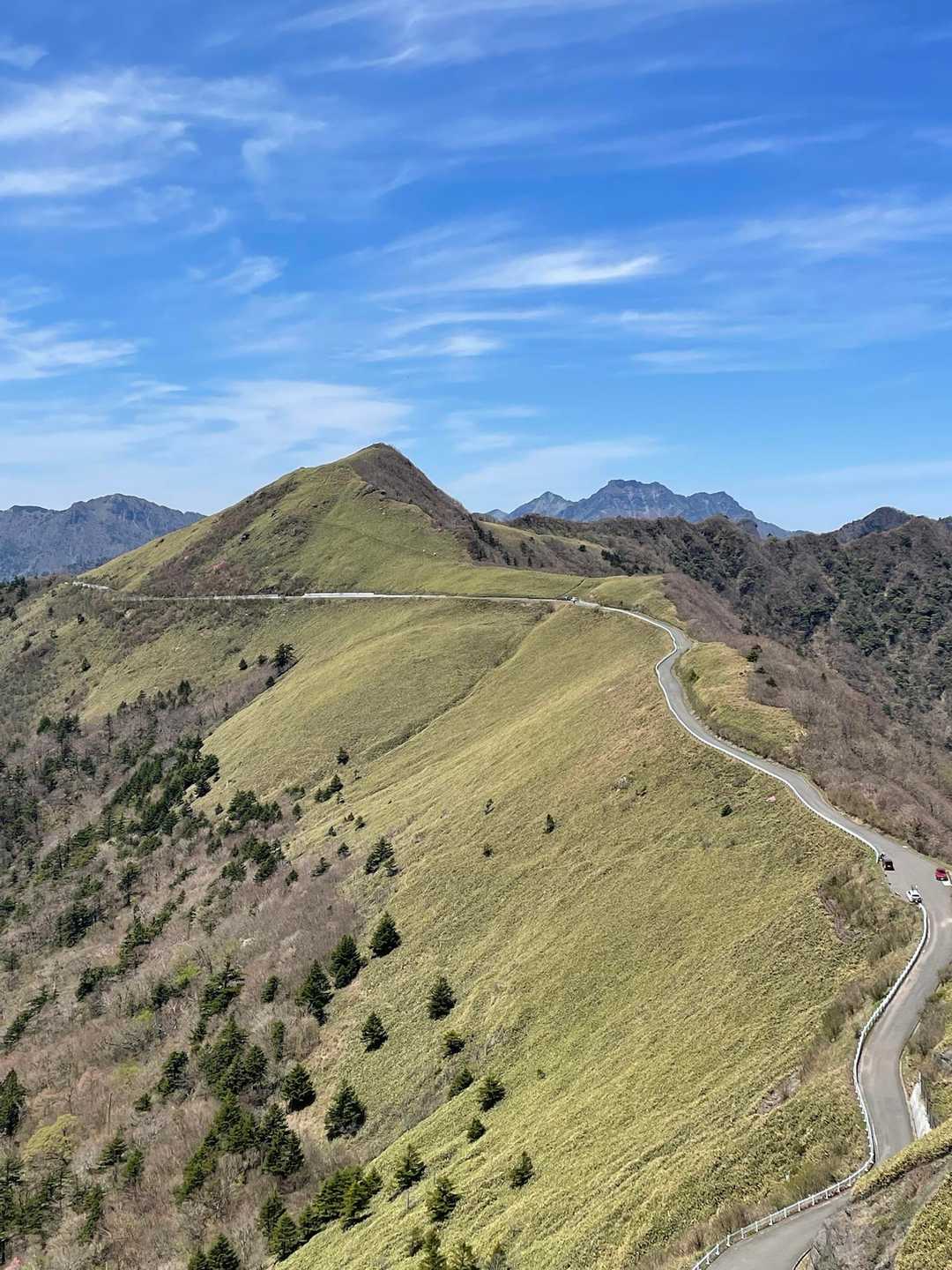 東黒森登山口-伊予富士-東黒森-自念子ノ頭 周回コースの写真