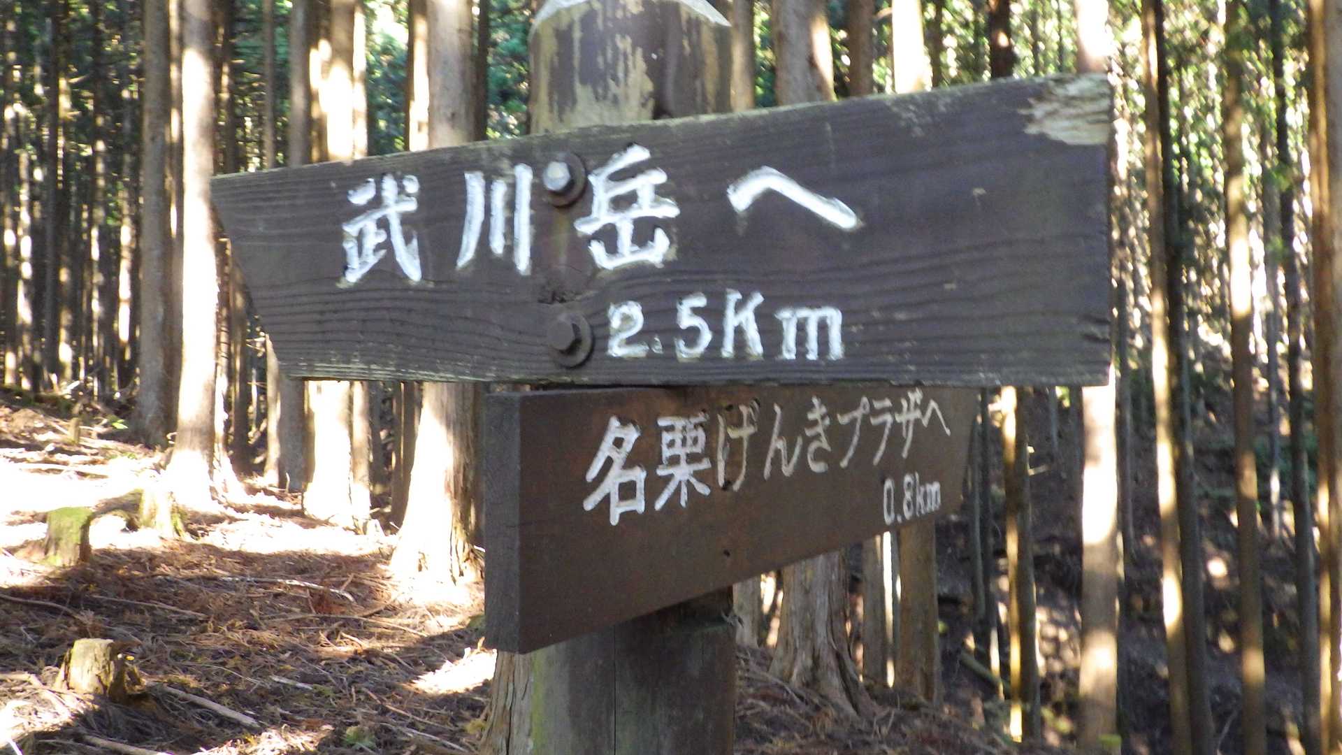 山伏峠から車道を歩くのが嫌だったので、ここで道を逸れます。