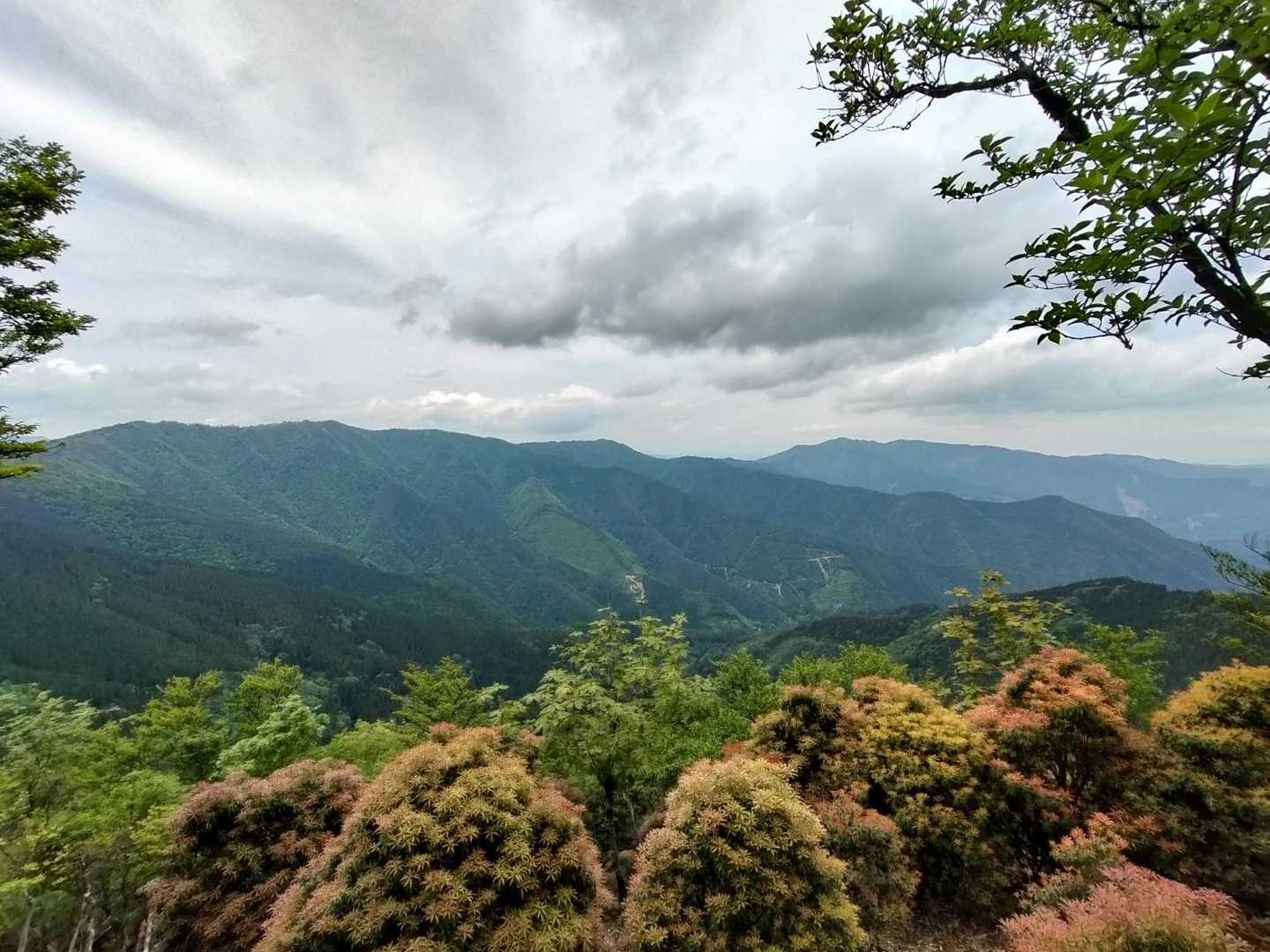 景色が見えてきた🥰