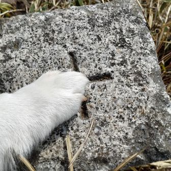 三角点タッチ🐾
