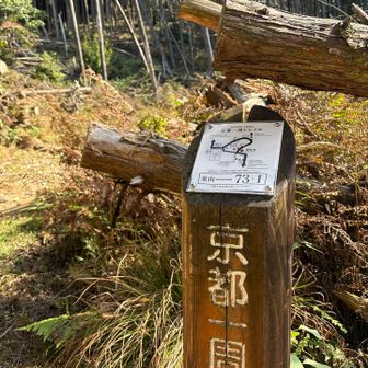 この辺りから、道の選択を誤った。
素直にショートカットでケーブル比叡駅に向かえばよかった。