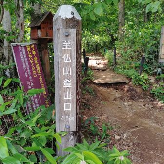 無事に至仏山から下山して来ました❗
