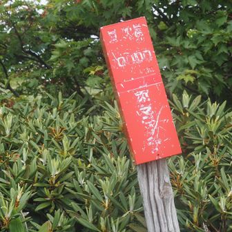 谷川岳まで10km😰
