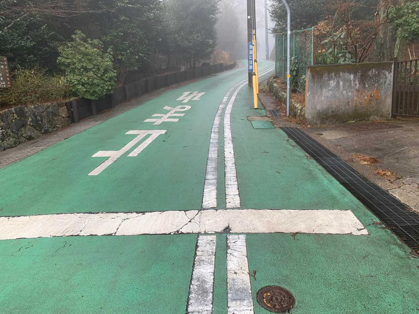 ここから下見