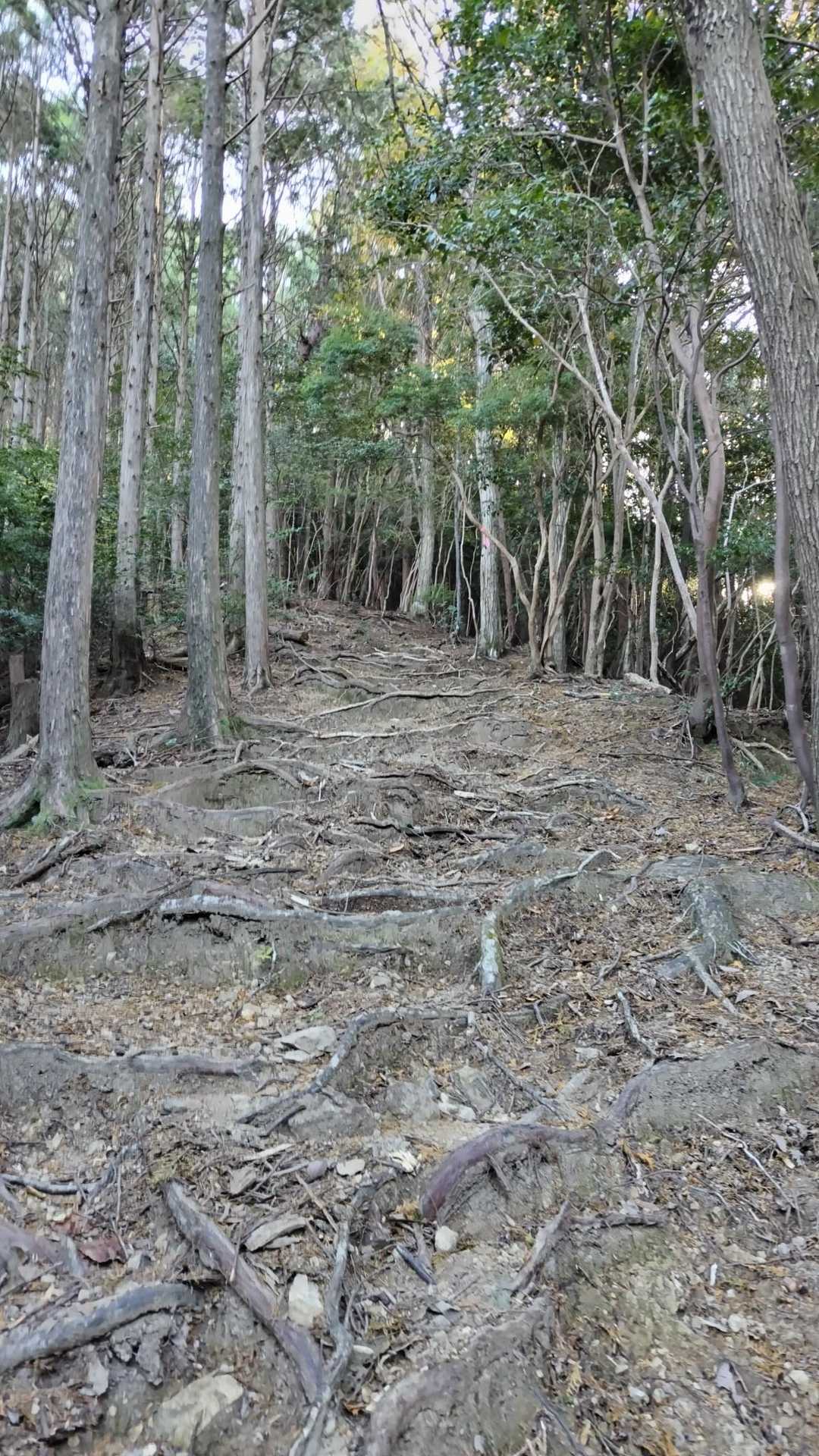 登ります