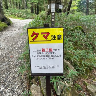 8/10に小熊ちゃん目撃情報あり🐻