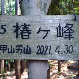 椿ヶ峰