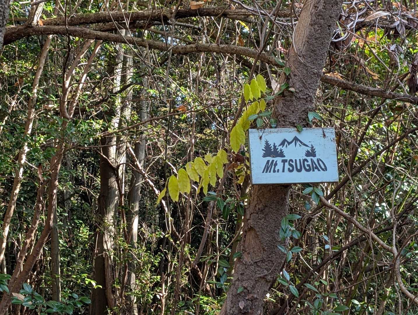 登山口