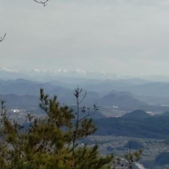 👩何撮ってるの？
👨わからん
つらすぎてわからん
👩バカなの？
👨アホ、おたわけさん、色々あるな