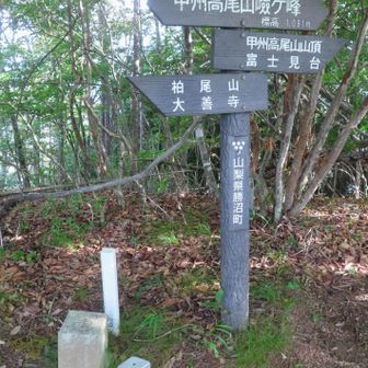 三角点あります