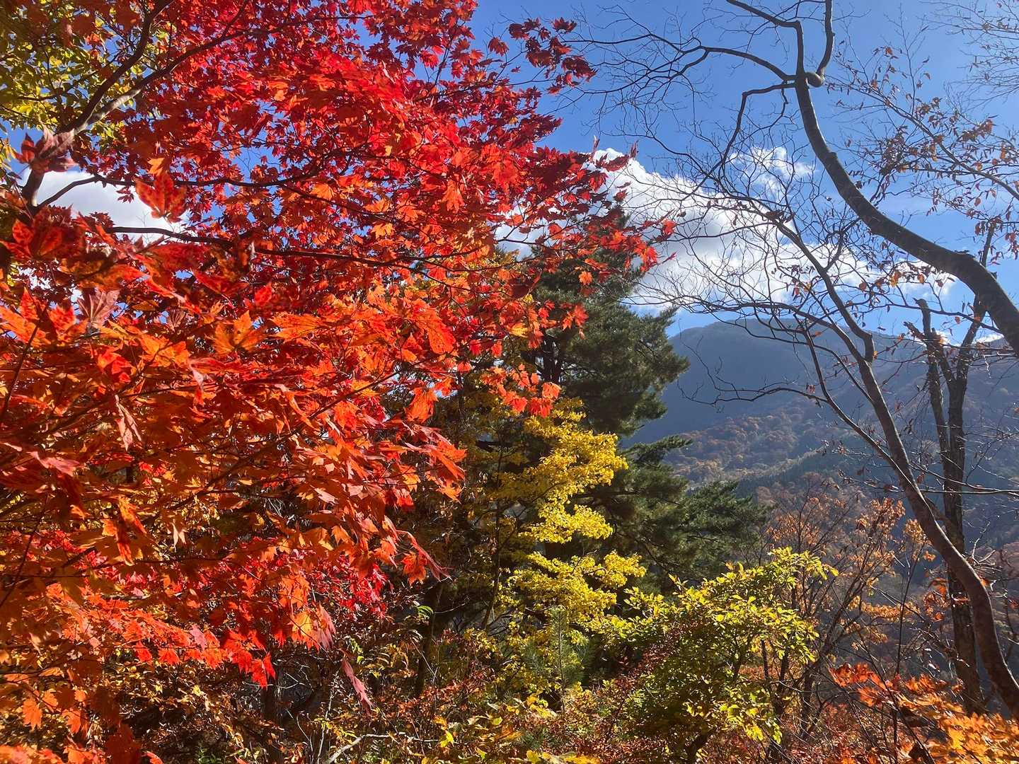 面白山高原駅-北面白山登山入口-三沢山 往復コースの写真