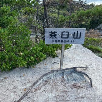 活動開始押し忘れて…２度目まして山頂！