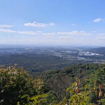 山頂から