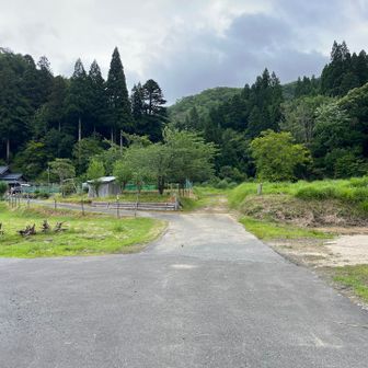 この正面の道を直進。なんかセンサーに触れたようで警報音が鳴りました。隣家のものかな？