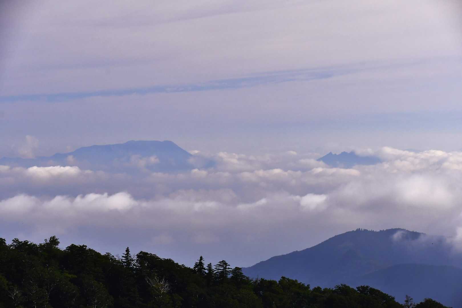 雲海に浮かぶ高岳・根子岳