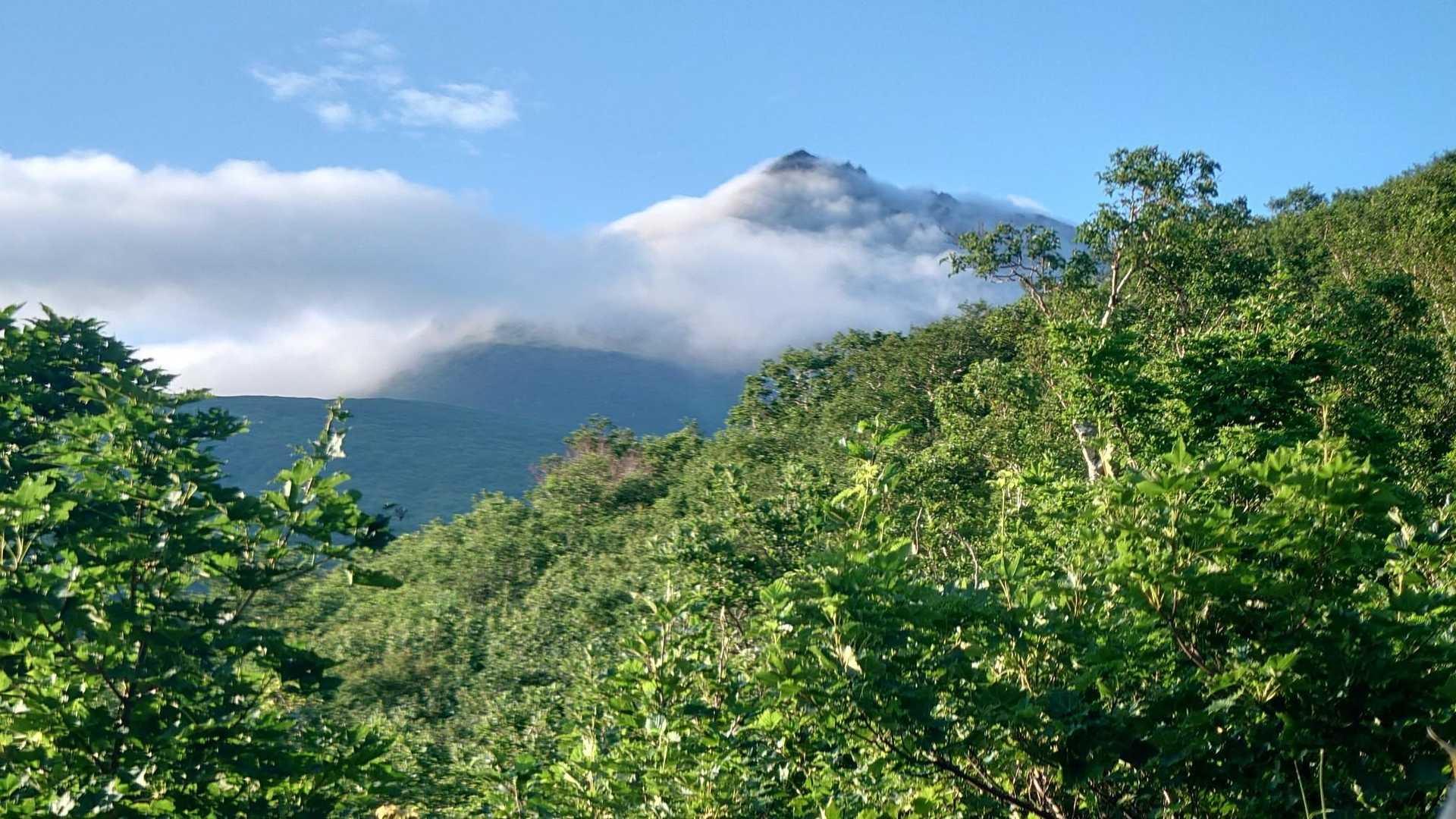 山頂見えた〰️
この後は山頂がガスに覆われるなんて、予想だにしていませんでした😅