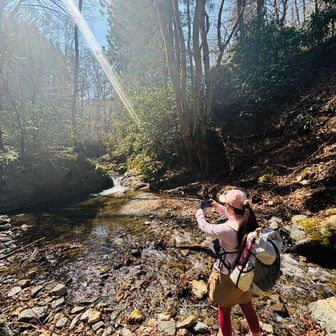 みーすけたろう