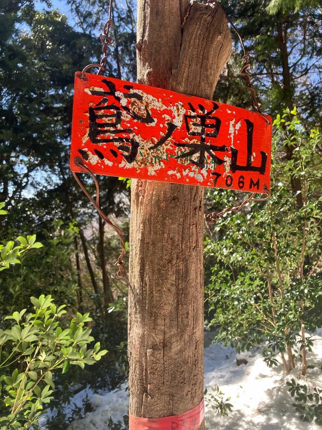 鳶ノ巣山登り口-鳶ノ巣山 往復コースの写真