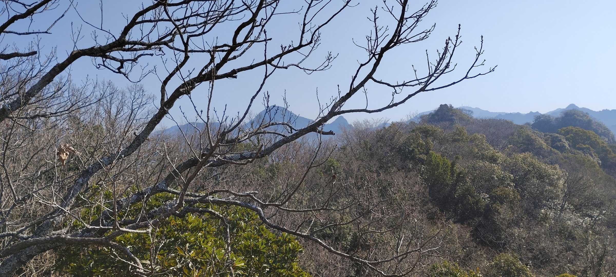 木立越しに、千燈岳方面
