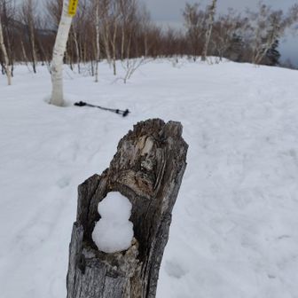 のっぺらぼうの雪だるまになっちゃった🤭
これはこれで可愛いかも☺️