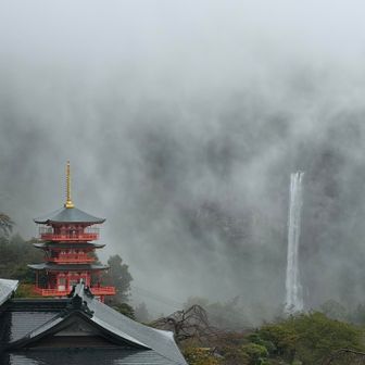 芸術的な一枚😊