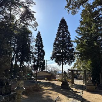 今日も良き朝活でしたとさ👋