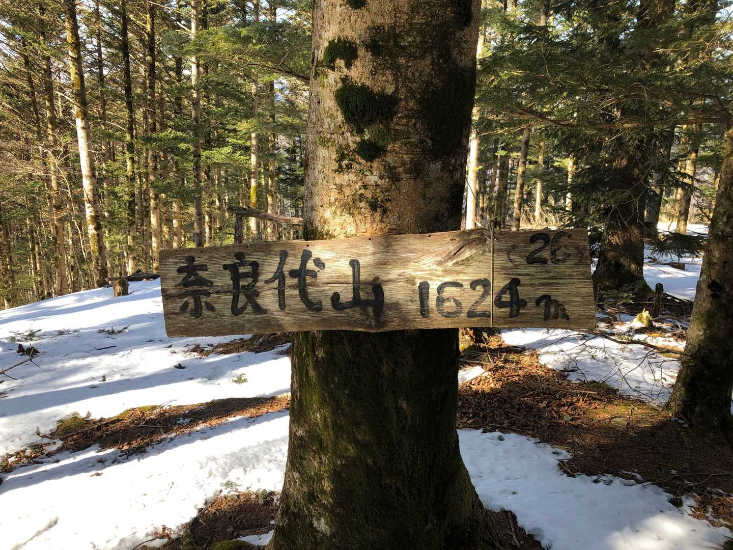 やっと登頂✨ 風が強いです🥶