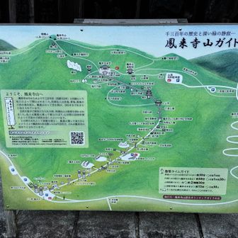 |･ω･｀)ﾌﾑﾌﾑ🪧