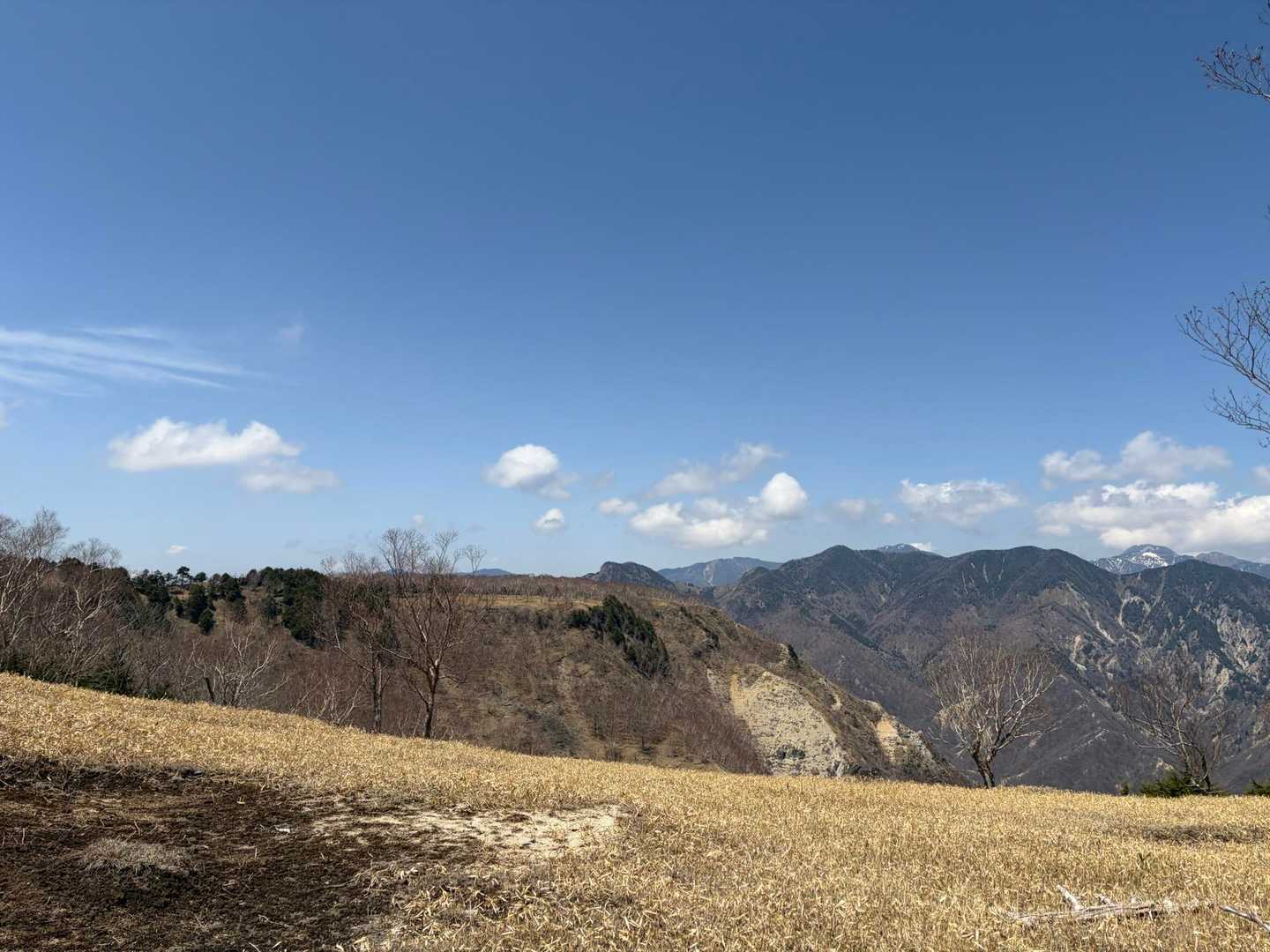 公園入口バス停-中倉山登山口-中倉山-沢入山-オロ山 周回コースの写真