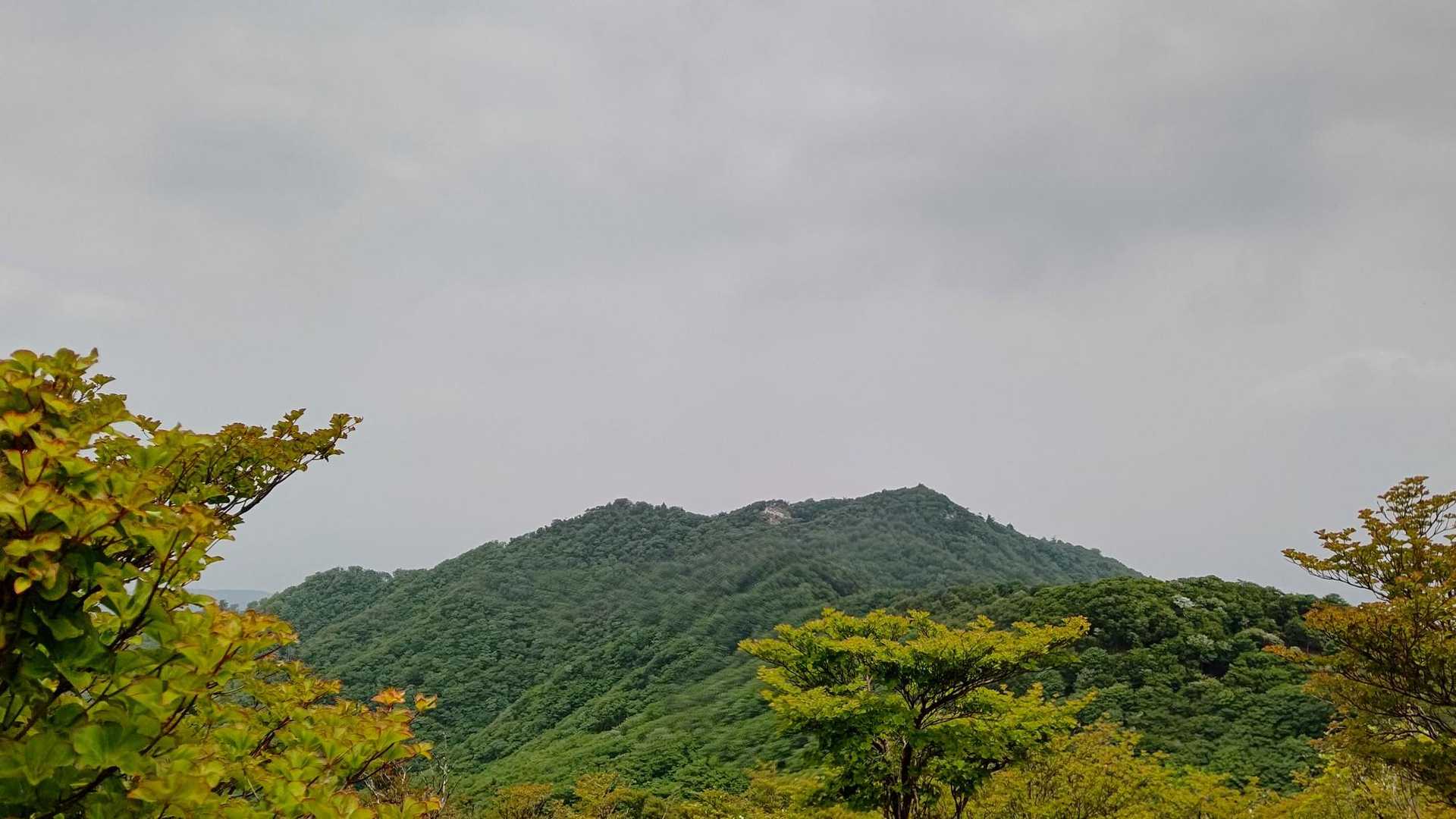 石榑峠-三池岳-八風峠-北仙香山-中峠 往復コースの写真