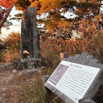 山頂はこんな感じで眺望無し。