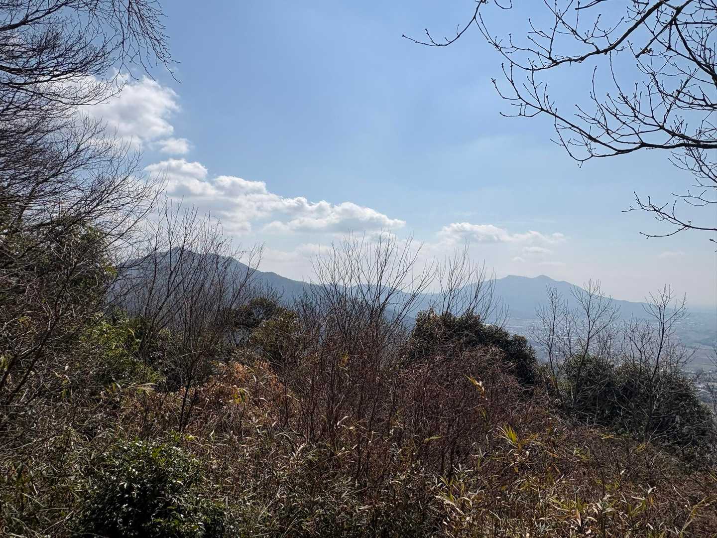 かばさん