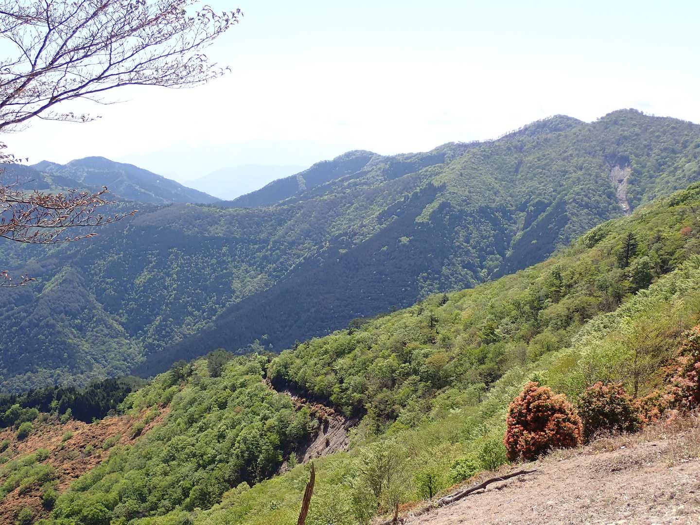 大河内越-三方岳 往復コースの写真