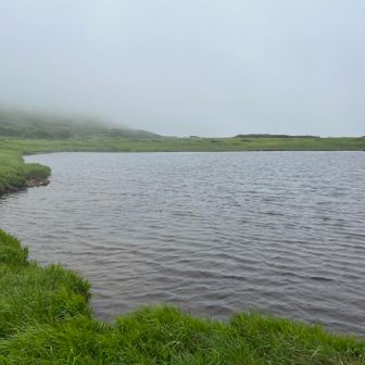 忠別沼

エゾサンショウウオの生息地
沼の中にいっぱい泳いでいました