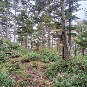 金山沢の頭