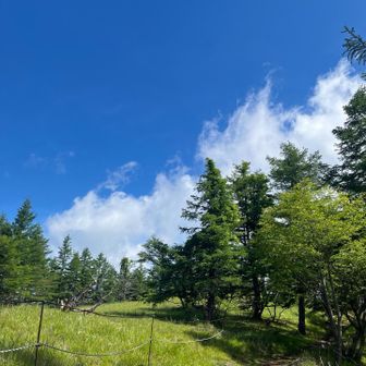もうちょいで山頂だっ