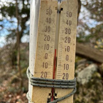8℃
歩いてるので、寒くもなく暑くもなく山日和