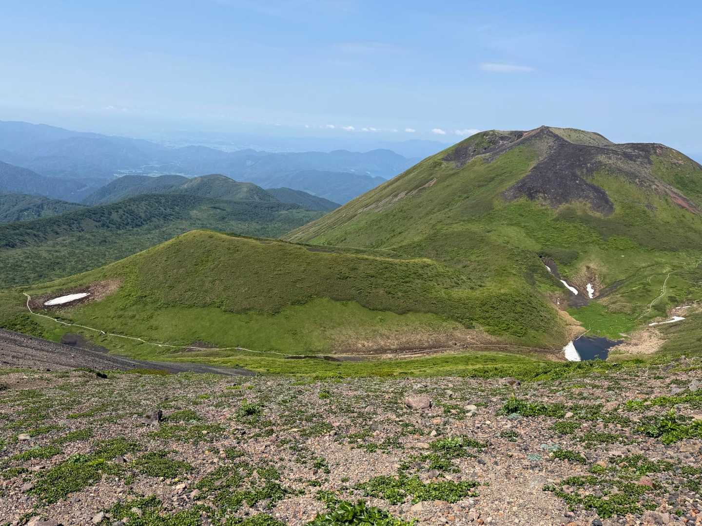 ムーミン谷の木道が見える