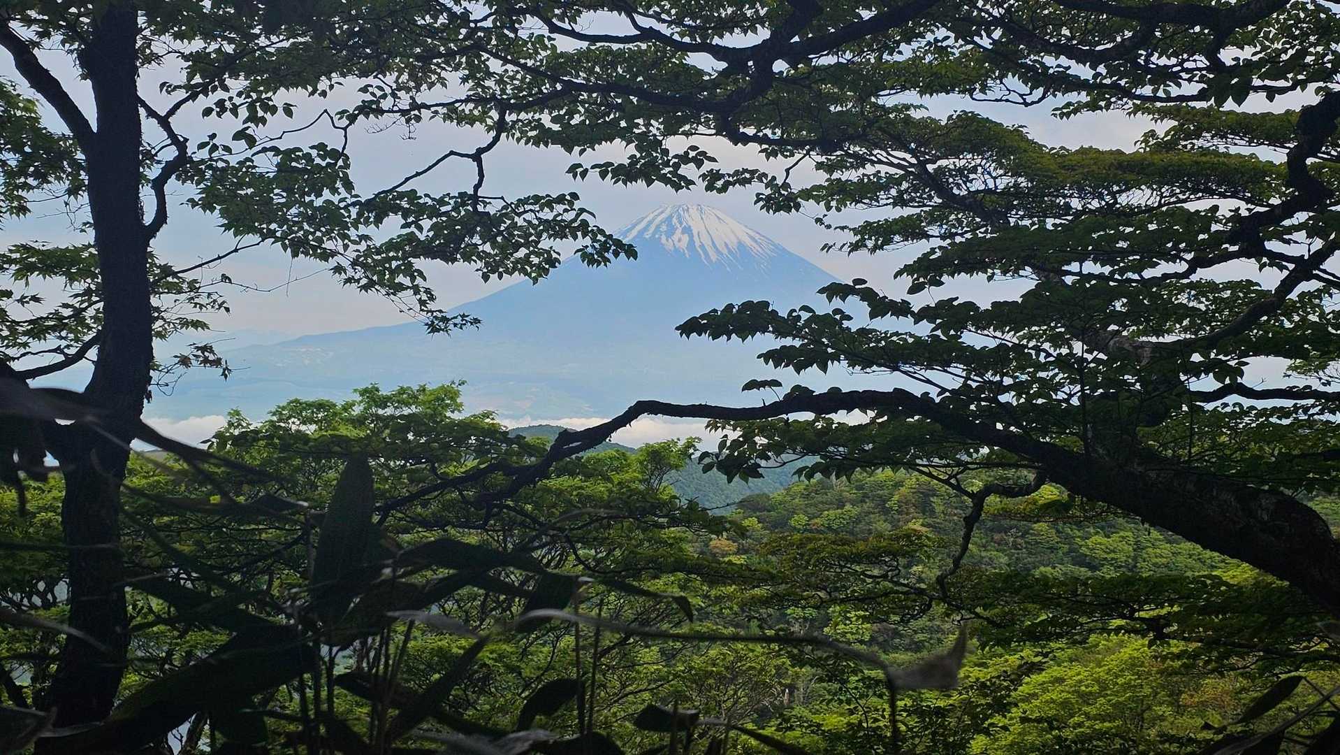 登山道から唯一であろう富士山スポット