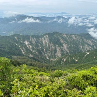 谷川岳の主脈に似てる感じ⛰️
