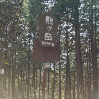 本日の最高峰✨