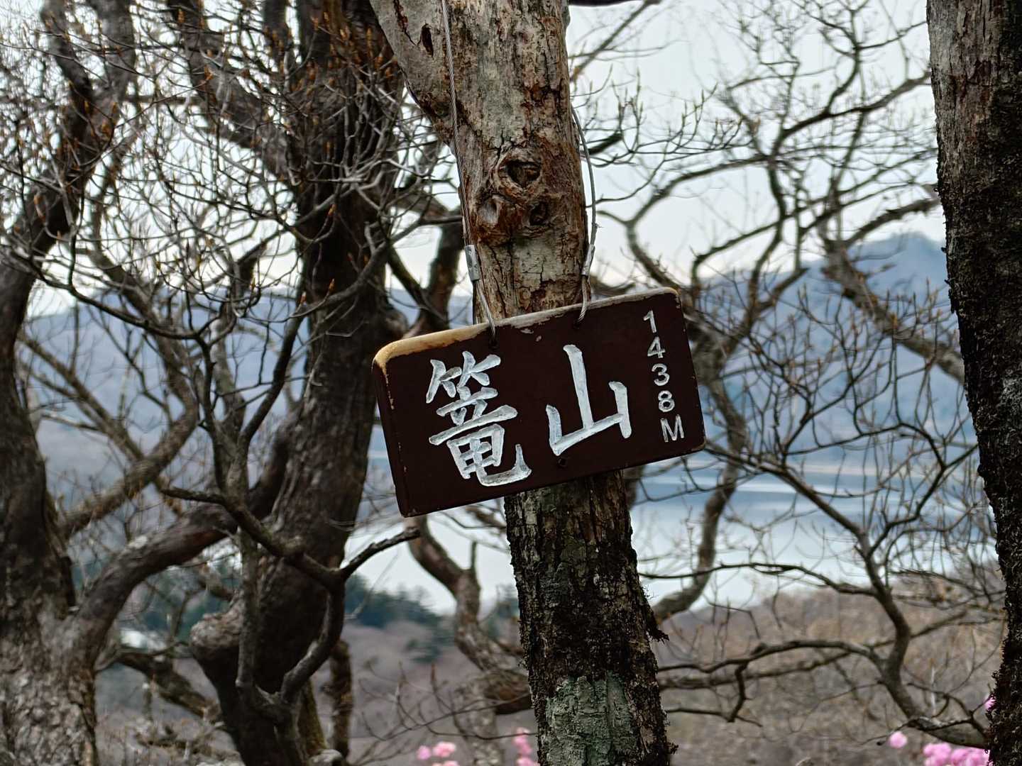 篭山③