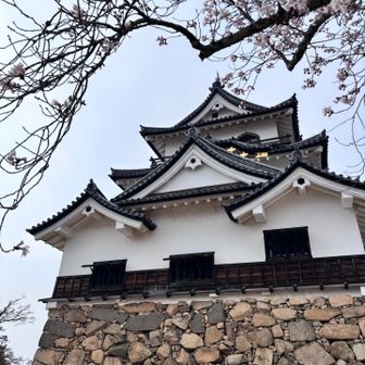 天守閣見学に30分待ち