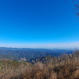 めっちゃ綺麗✨️