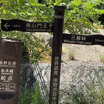 この分岐から湯の峰温泉♨️まで赤木越
またいつか歩きに来ます💪